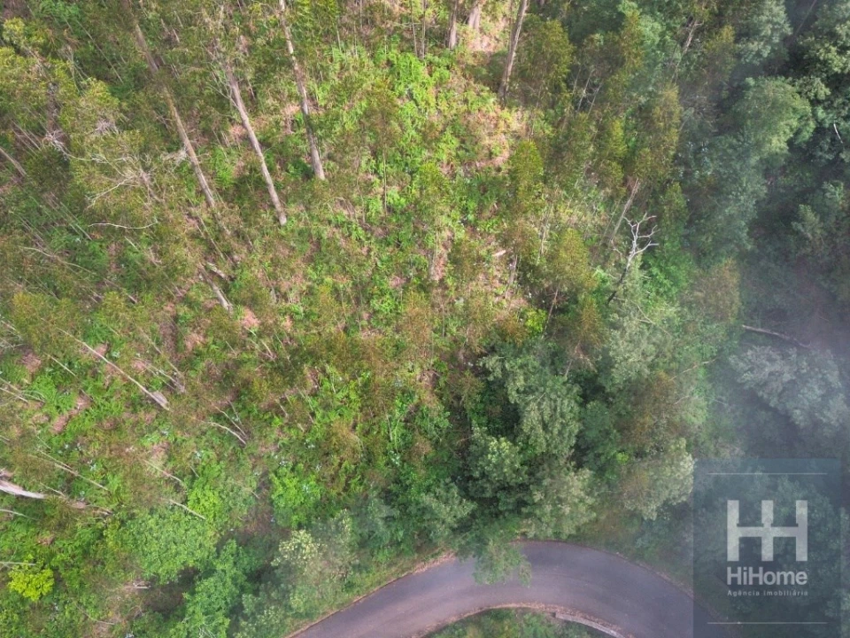 Terreno Agricola ou Rústico para Venda em São Gonçalo Foto 11