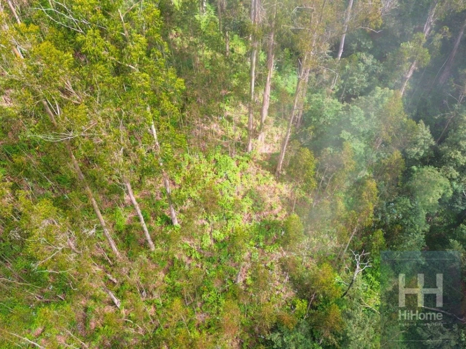 Terreno Agricola ou Rústico para Venda em São Gonçalo Foto 13