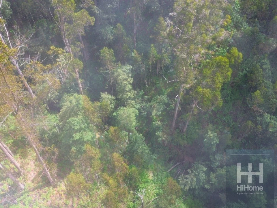 Terreno Agricola ou Rústico para Venda em São Gonçalo Foto 15