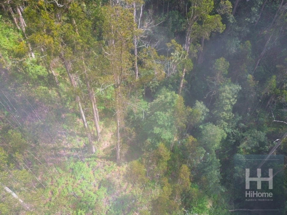 Terreno Agricola ou Rústico para Venda em São Gonçalo Foto 16