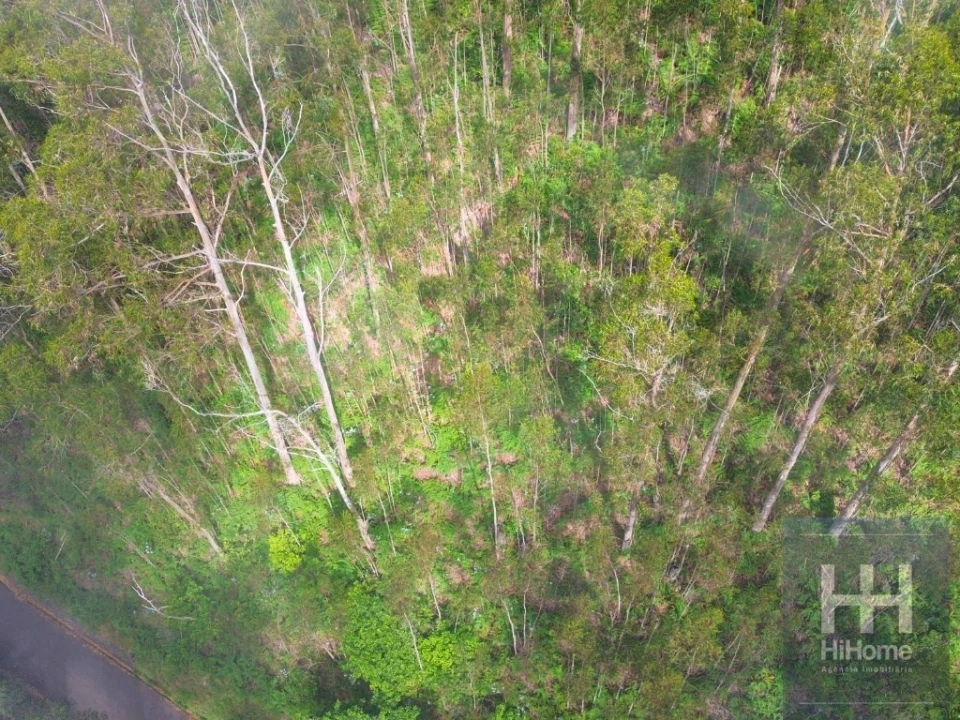 Terreno Agricola ou Rústico para Venda em São Gonçalo Foto 20