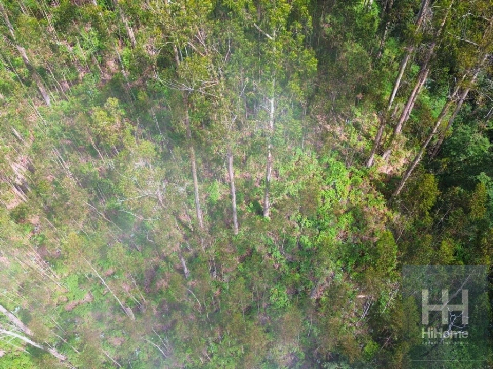 Terreno Agricola ou Rústico para Venda em São Gonçalo Foto 21