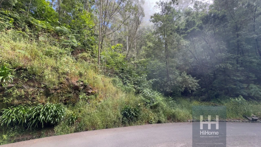 Terreno Agricola ou Rústico para Venda em São Gonçalo Foto 4