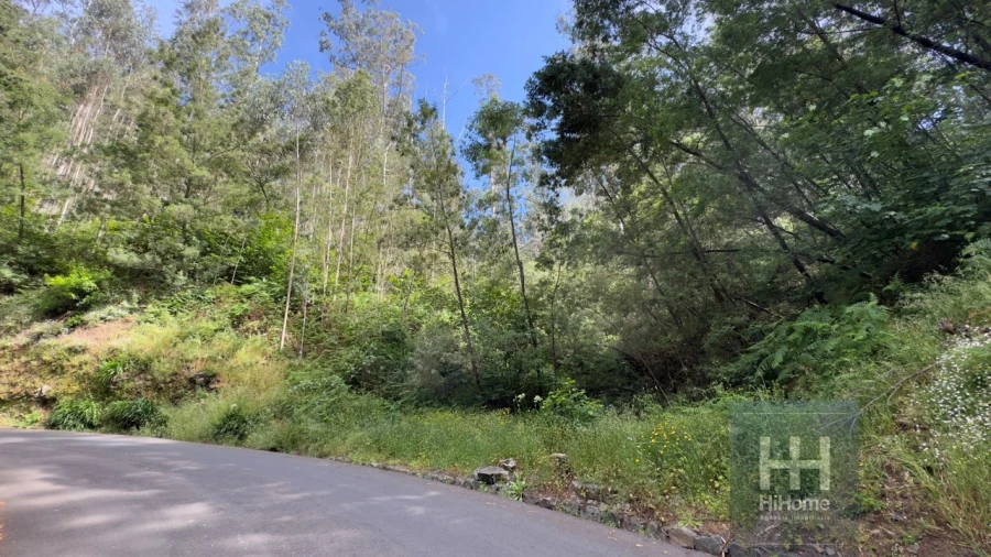 Terreno Agricola ou Rústico para Venda em São Gonçalo Foto 10
