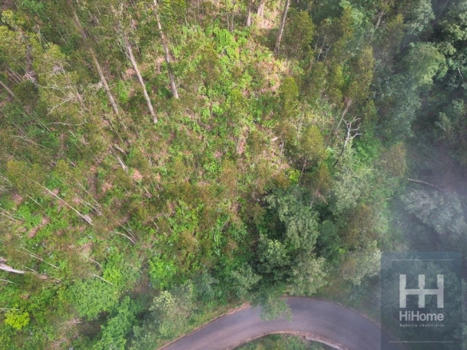 Terreno Agricola ou Rústico para Venda em São Gonçalo Foto 11