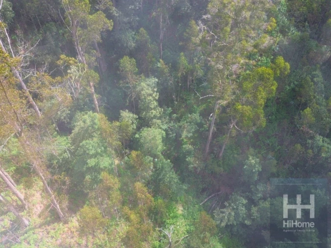 Terreno Agricola ou Rústico para Venda em São Gonçalo Foto 15