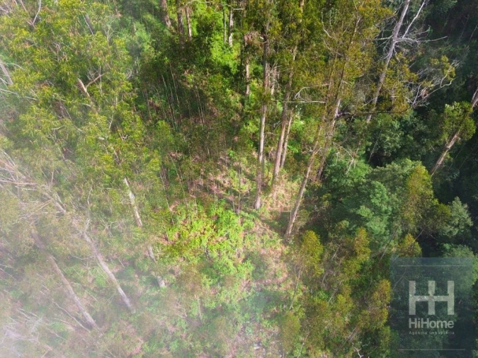 Terreno Agricola ou Rústico para Venda em São Gonçalo Foto 17