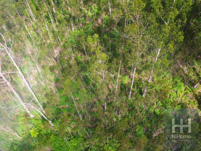 Terreno Agricola ou Rústico para Venda em São Gonçalo Foto 22