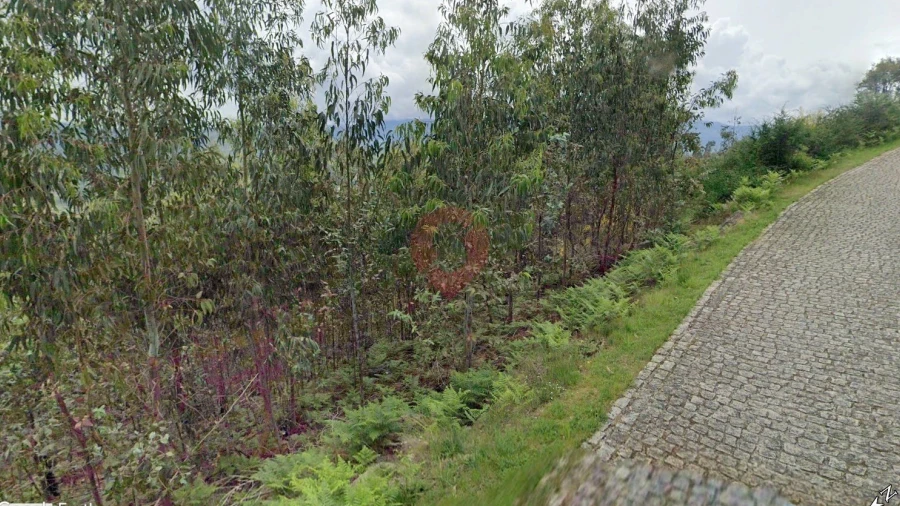Terreno para Venda em Barbeita