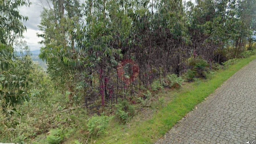 Terreno para Venda em Barbeita