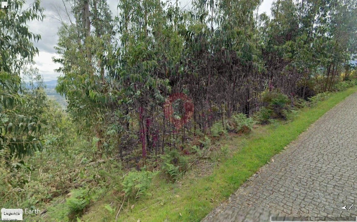 Terreno para Venda em Barbeita Foto 1