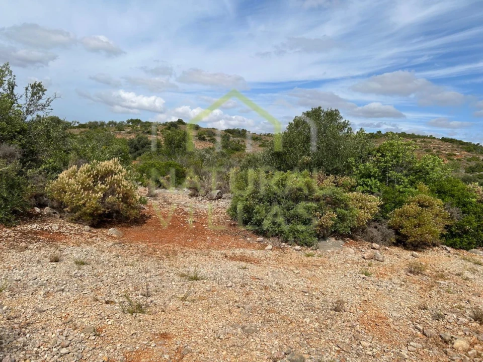 Terreno Agricola ou Rústico para Venda em Conceição e Estoi Foto 2