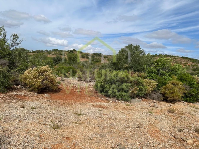 Terreno Agricola ou Rústico para Venda em Conceição e Estoi Foto 2