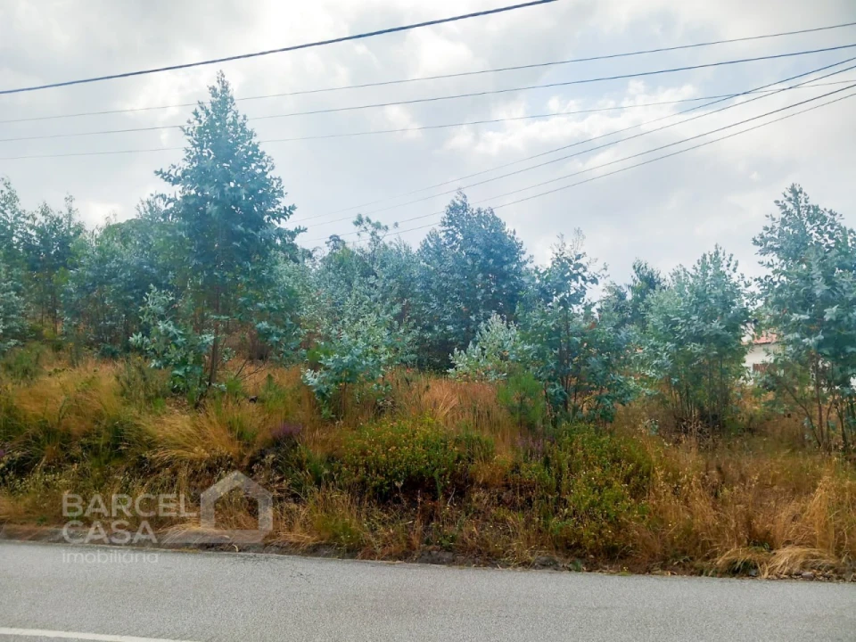 Terreno para Venda em Perelhal Foto 2