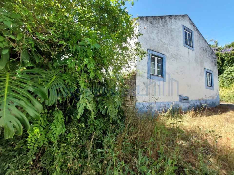 Moradia T3 para Venda em Nossa Senhora do Pópulo, Coto e São Gregório Foto 28
