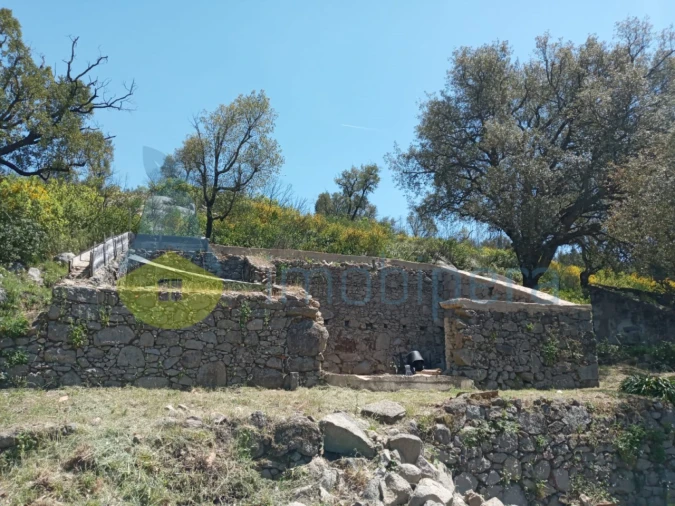 Moradia T1 para Venda em Monchique Foto 3