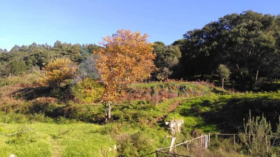 Moradia T1 para Venda em Monchique Foto 18