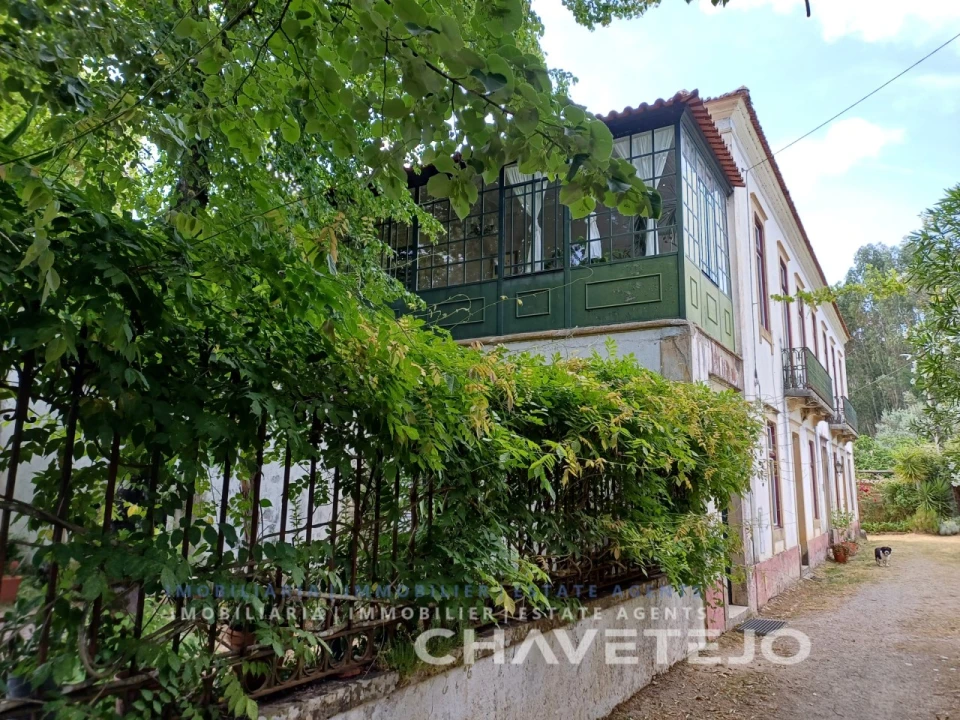 Quinta T10 para Venda em Cernache do Bonjardim, Nesperal e Palhais Foto 4