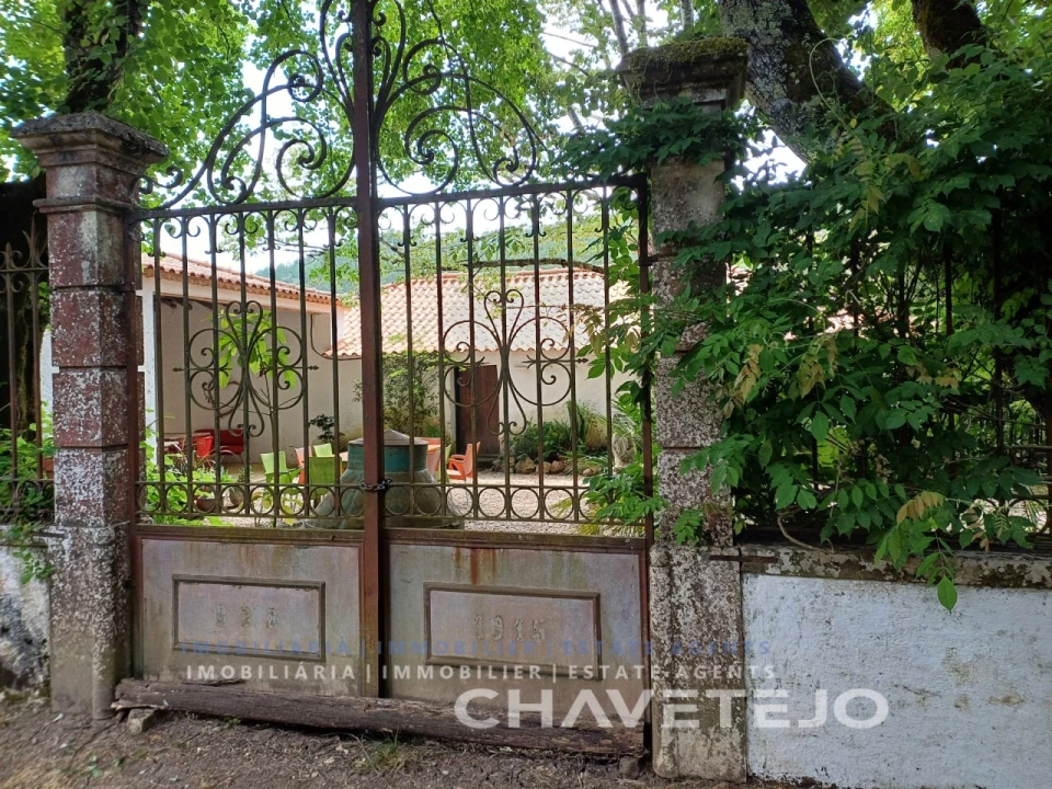 Quinta T10 para Venda em Cernache do Bonjardim, Nesperal e Palhais Foto 5