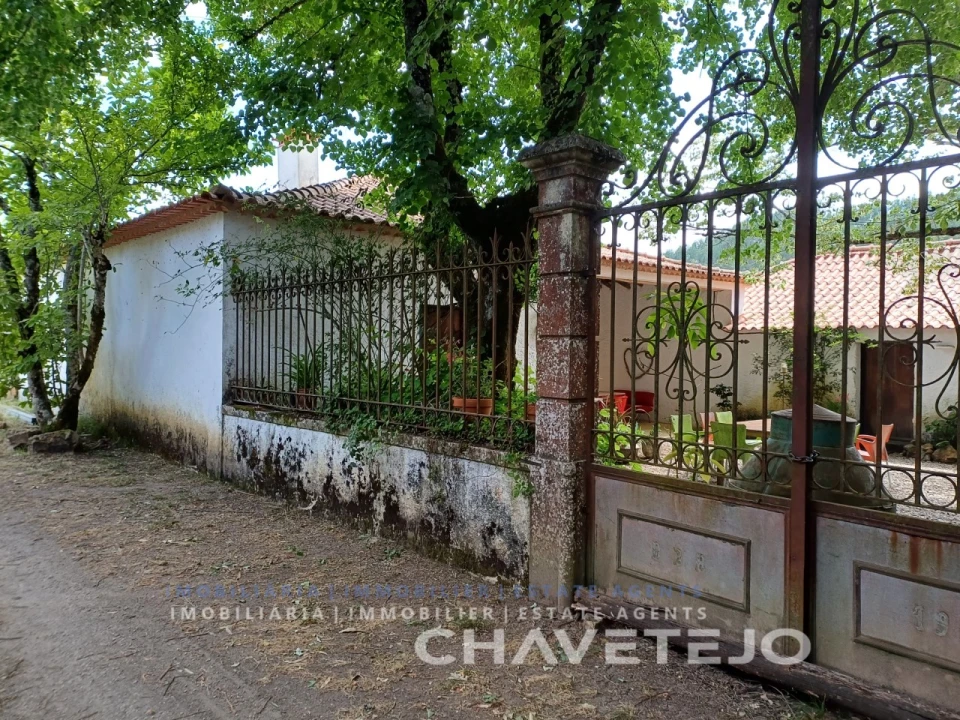 Quinta T10 para Venda em Cernache do Bonjardim, Nesperal e Palhais Foto 6