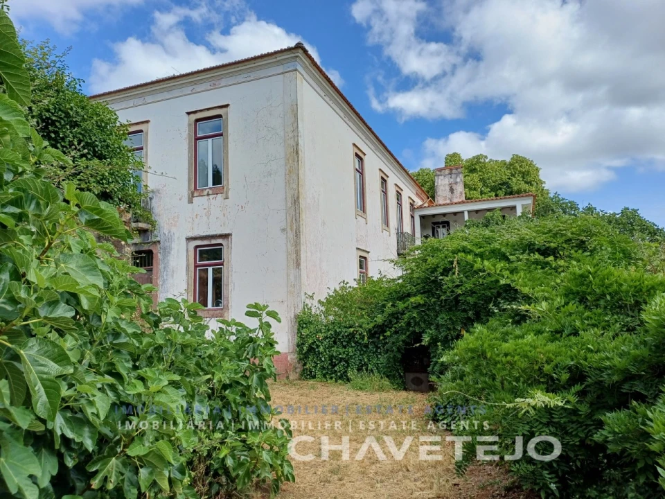 Quinta T10 para Venda em Cernache do Bonjardim, Nesperal e Palhais Foto 7