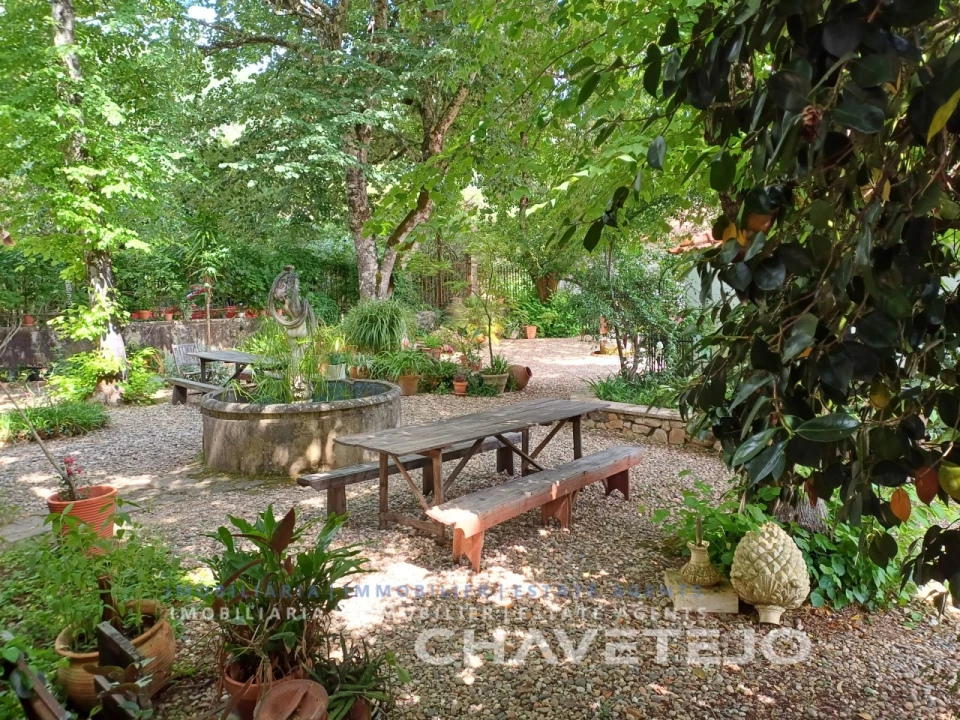 Quinta T10 para Venda em Cernache do Bonjardim, Nesperal e Palhais Foto 10