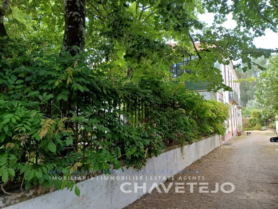 Quinta T10 para Venda em Cernache do Bonjardim, Nesperal e Palhais Foto 13