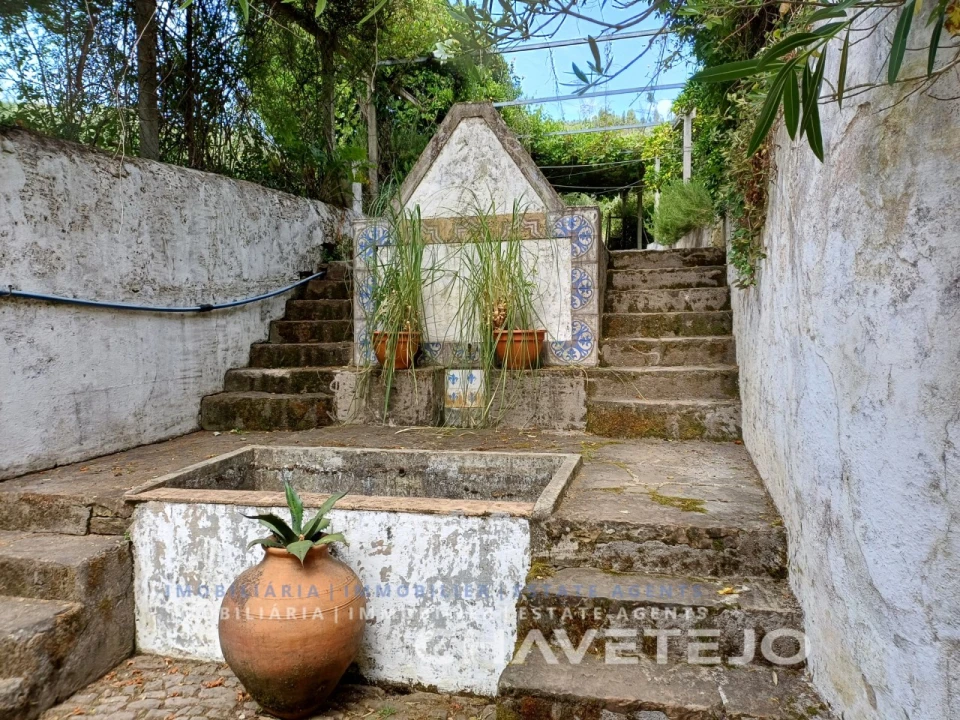 Quinta T10 para Venda em Cernache do Bonjardim, Nesperal e Palhais Foto 14
