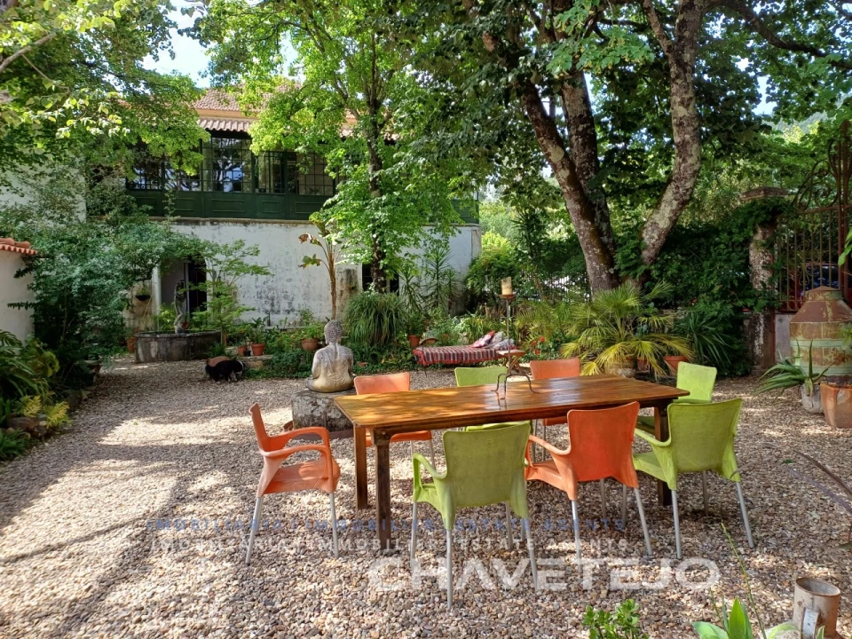 Quinta T10 para Venda em Cernache do Bonjardim, Nesperal e Palhais Foto 35