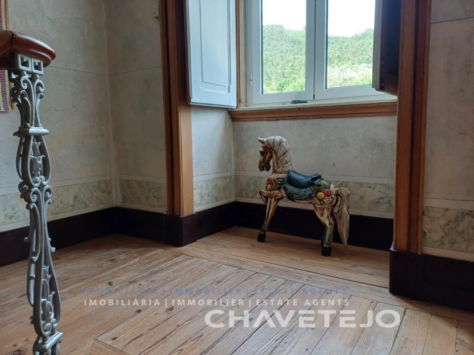 Quinta T10 para Venda em Cernache do Bonjardim, Nesperal e Palhais Foto 47