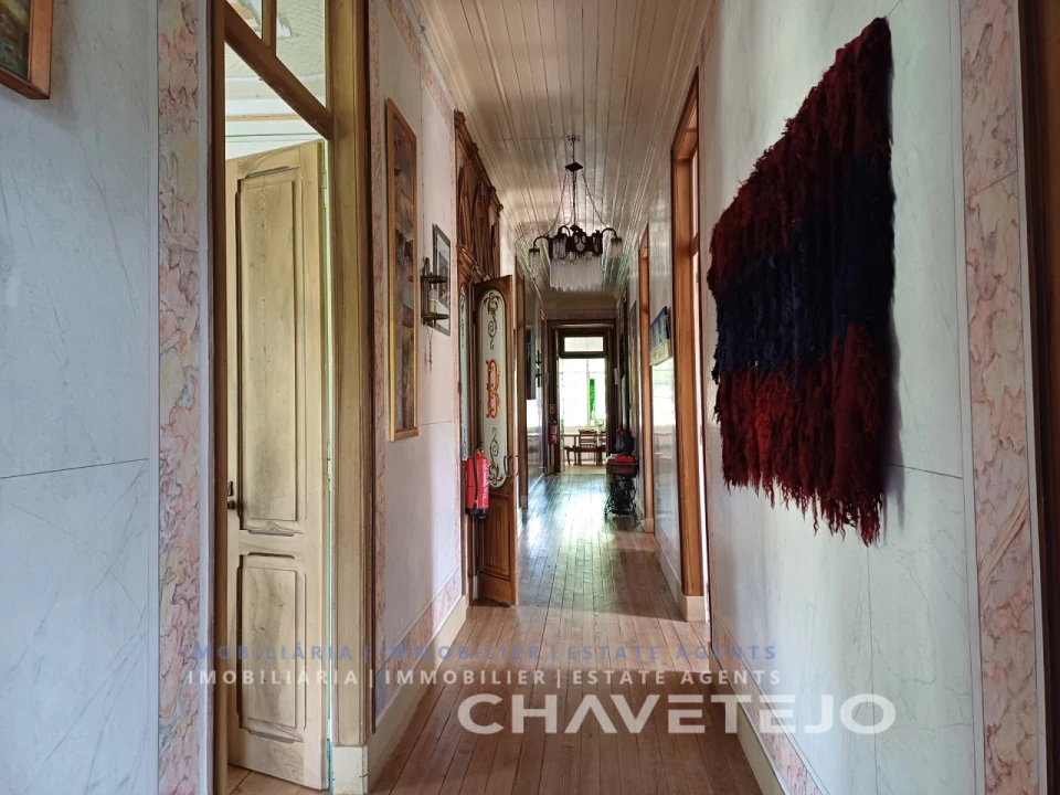 Quinta T10 para Venda em Cernache do Bonjardim, Nesperal e Palhais Foto 48