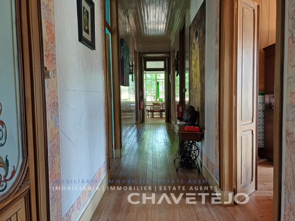 Quinta T10 para Venda em Cernache do Bonjardim, Nesperal e Palhais Foto 50