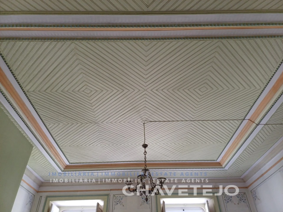 Quinta T10 para Venda em Cernache do Bonjardim, Nesperal e Palhais Foto 57