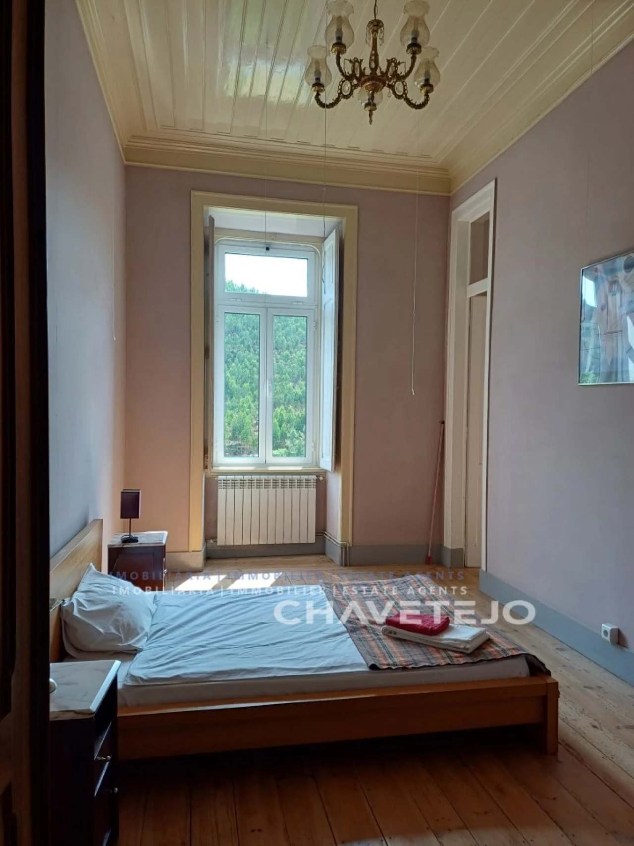 Quinta T10 para Venda em Cernache do Bonjardim, Nesperal e Palhais Foto 66