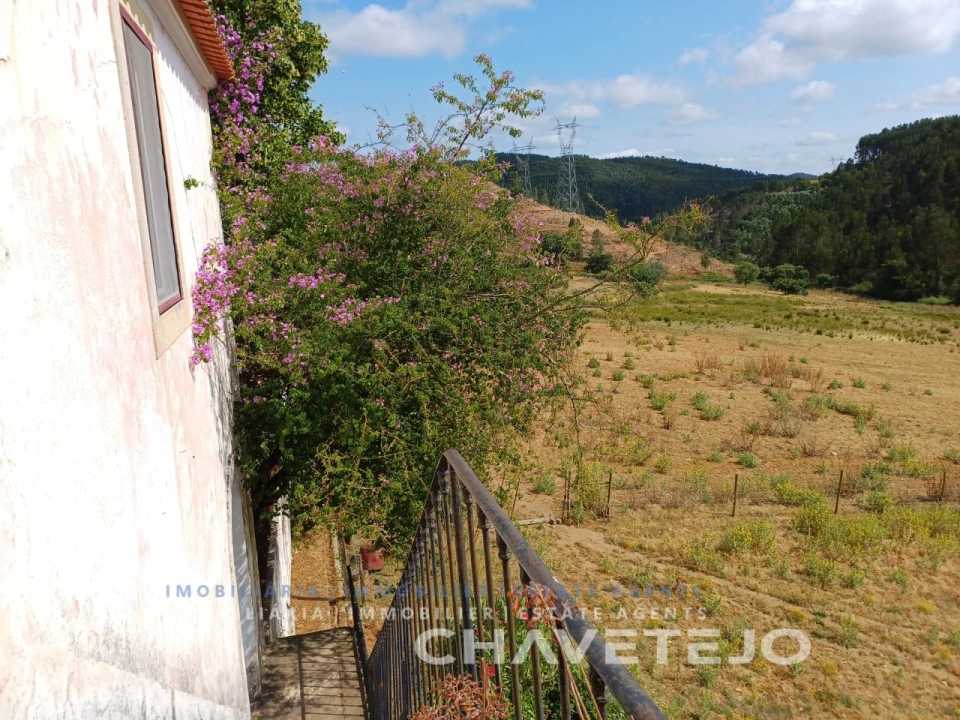 Quinta T10 para Venda em Cernache do Bonjardim, Nesperal e Palhais Foto 74