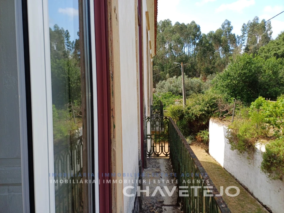 Quinta T10 para Venda em Cernache do Bonjardim, Nesperal e Palhais Foto 87