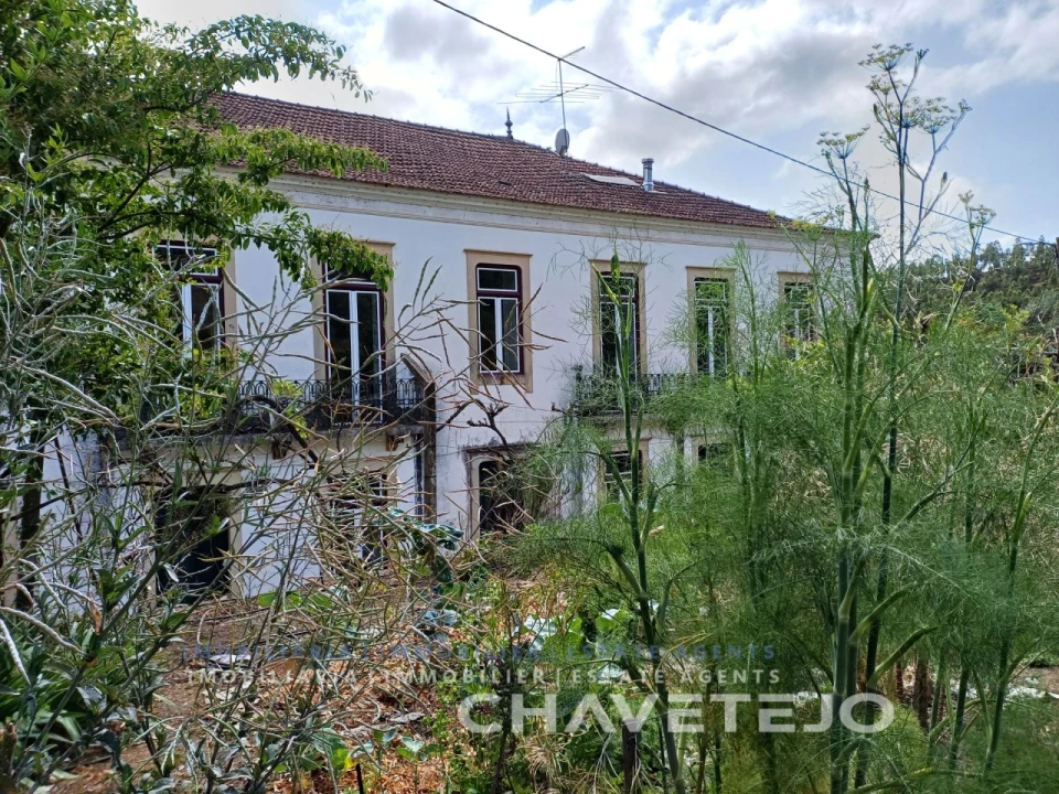 Quinta T10 para Venda em Cernache do Bonjardim, Nesperal e Palhais Foto 96