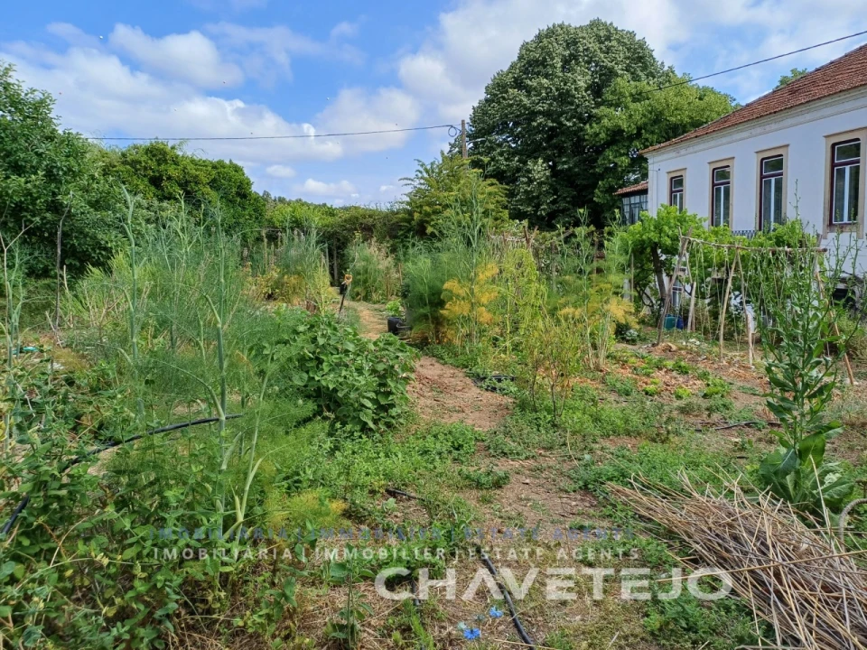 Quinta T10 para Venda em Cernache do Bonjardim, Nesperal e Palhais Foto 97