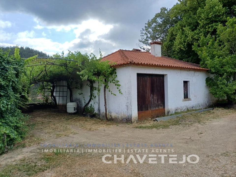 Quinta T10 para Venda em Cernache do Bonjardim, Nesperal e Palhais Foto 98