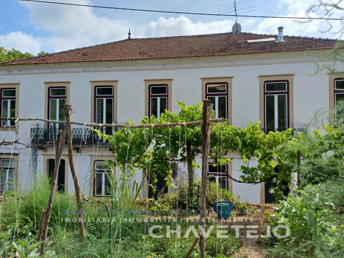 Quinta T10 para Venda em Cernache do Bonjardim, Nesperal e Palhais Foto 2