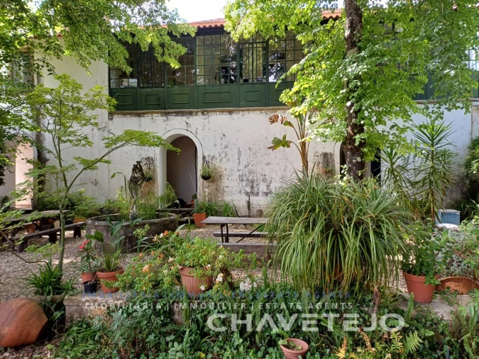 Quinta T10 para Venda em Cernache do Bonjardim, Nesperal e Palhais Foto 11