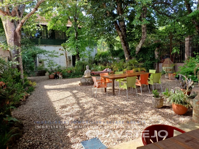 Quinta T10 para Venda em Cernache do Bonjardim, Nesperal e Palhais Foto 12