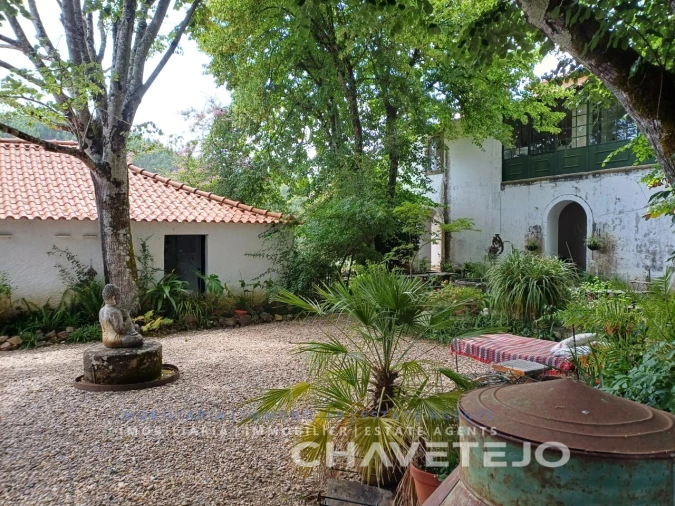 Quinta T10 para Venda em Cernache do Bonjardim, Nesperal e Palhais Foto 15