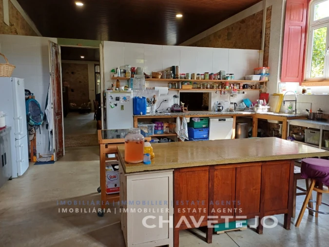 Quinta T10 para Venda em Cernache do Bonjardim, Nesperal e Palhais Foto 22