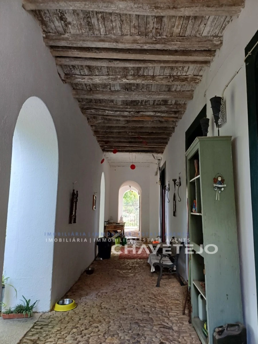 Quinta T10 para Venda em Cernache do Bonjardim, Nesperal e Palhais Foto 28