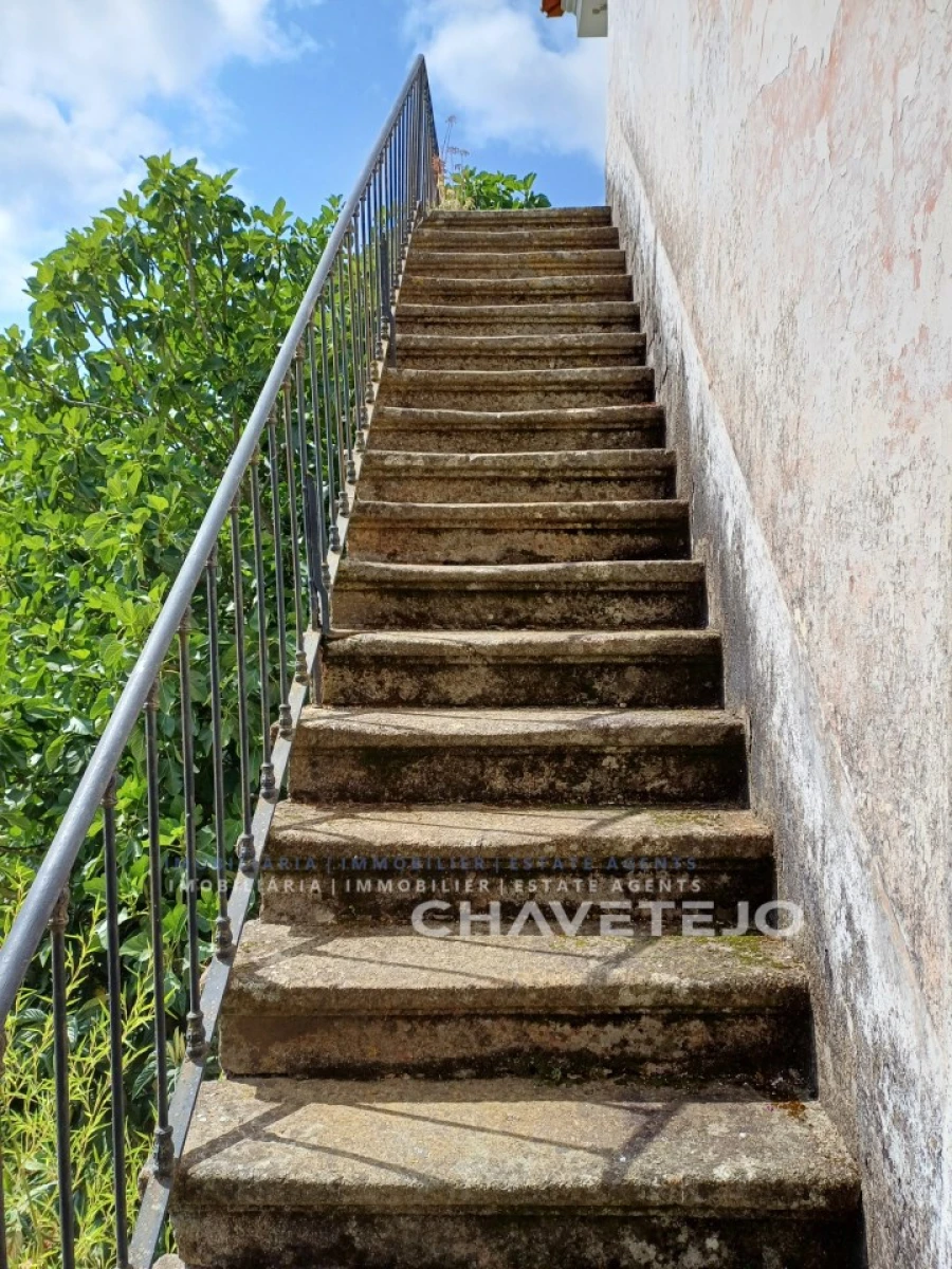 Quinta T10 para Venda em Cernache do Bonjardim, Nesperal e Palhais Foto 33