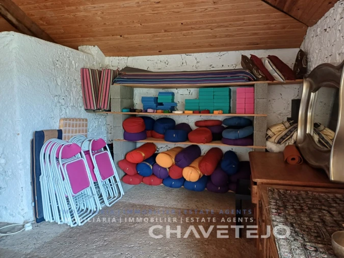 Quinta T10 para Venda em Cernache do Bonjardim, Nesperal e Palhais Foto 42