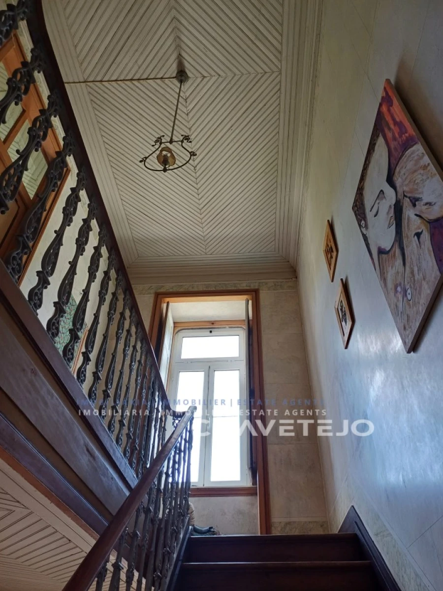 Quinta T10 para Venda em Cernache do Bonjardim, Nesperal e Palhais Foto 46