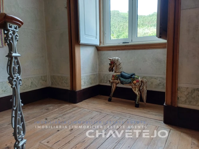 Quinta T10 para Venda em Cernache do Bonjardim, Nesperal e Palhais Foto 47