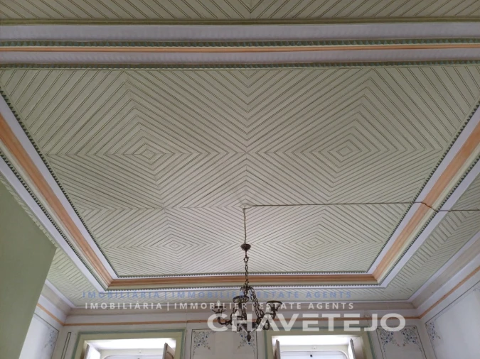 Quinta T10 para Venda em Cernache do Bonjardim, Nesperal e Palhais Foto 57